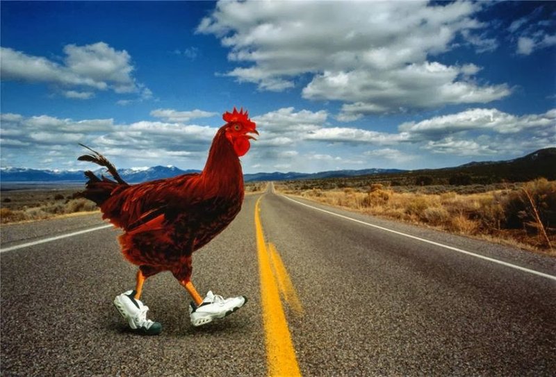 Italy - chicken road ufficiale